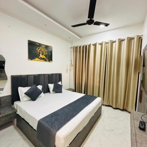 Standard Double Room (Panna Haveli)